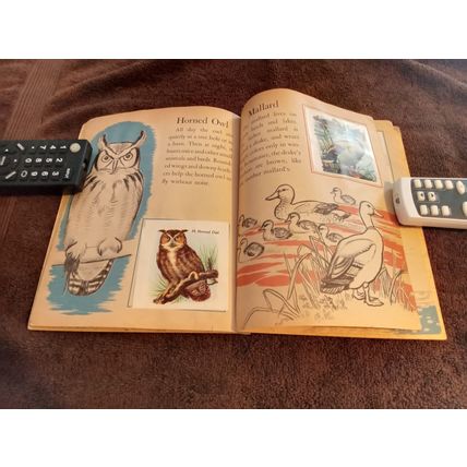 Little Golden Book Bird Stamps By Kathleen Daly B Edition VG/FN Shape 1949