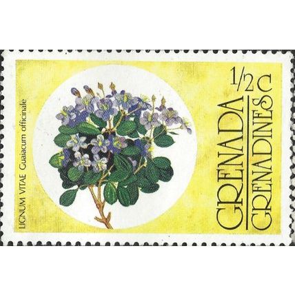 GRENADA GRENADINES, FLOWER, Guaiawood, Guaiacum officinale, yellow 1976, ½c