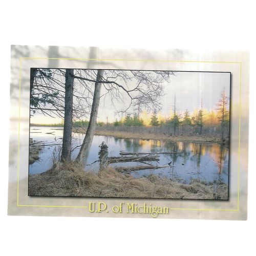 UPPER PENINSULA Michigan unused postcard vgc forest river, lake. =