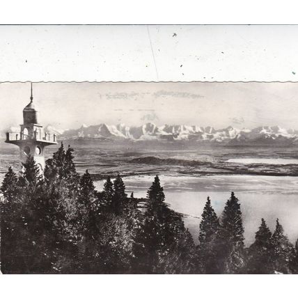 Chaumont Petit Hotel Switzerland Real Photo Postcard posted 1960 VGC