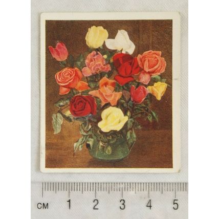 1937 Godfrey Phillips Flower Studies No. 20