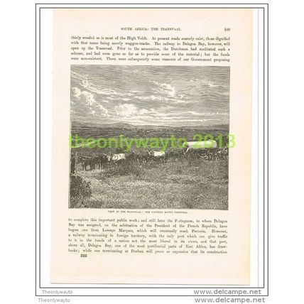THE TRANSVAAL, COUNTRY AROUND PRETORIA, SOUTH AFRICA, Book Illustration c1890
