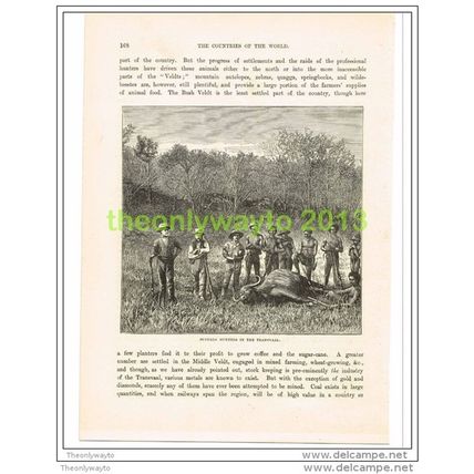 BUFFALO HUNTERS IN THE TRANSVAAL, SOUTH AFRICA, Book Illustration c1890