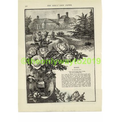 Roses, Cotsford Dick, Illustrated Poetry, Book Illustration (Print), 1881/2
