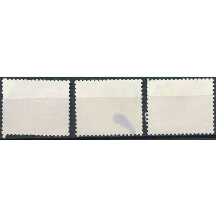 Endemic Fish: 3 Values - Sri Lanka 1990 - F H - SG 1134/6