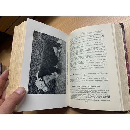RARE* 1949 "THE HERD BOOK OF HEREFORD CATTLE" BULLS & COWS VOL 79 BOOK (P7)