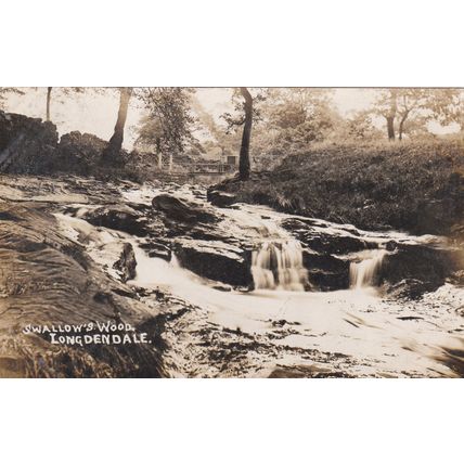 EC859 LONGDENDALE - SWALLOWS WOOD . R/P POSTCARD