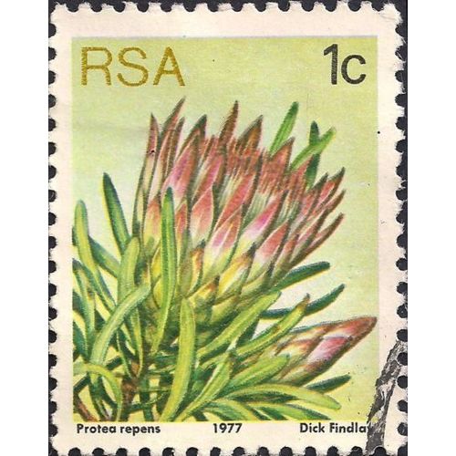 SOUTH AFRICA, FLOWERS, Protea repens, yellow 1977, 1c