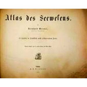 Atlas des Seewesens - Separat-Ausgabe aus der Zweiten Auflage des Bilder-Atlas b