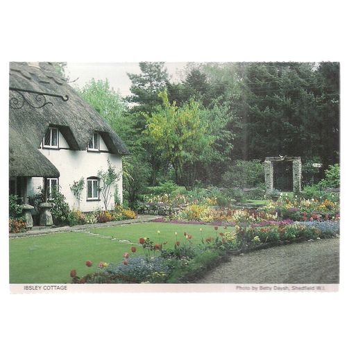 IBSLEY COTTAGE. Shedfield W.I. vintage postcard unposted Hampshire W.I. =