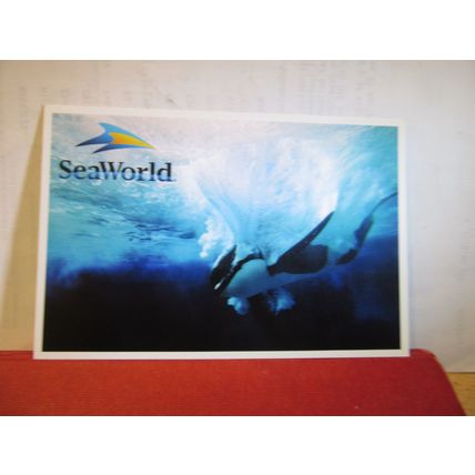 KILLER WHALE, SEAWORLD, USA unused postcard =
