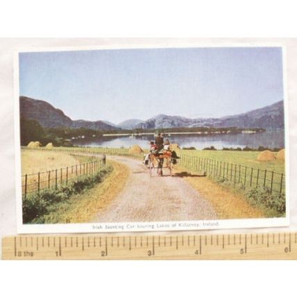 1957 postcard Irish Jaunting Car Lakes of Killarney