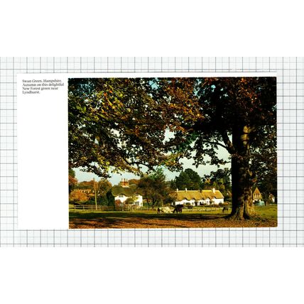 C7924) Swan Green Hampshire - 1980s Cutting