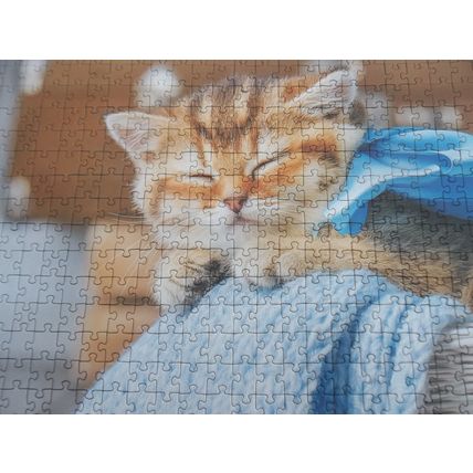 BOX OF 3 TREFL JIGSAW PUZZLES 1 BY 1000PCS 2 BY 500 PCS CATS LIMITED EDITION