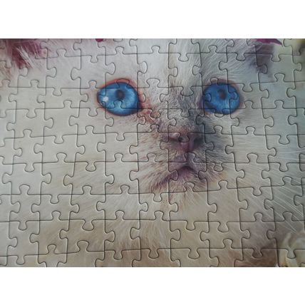 BOX OF 3 TREFL JIGSAW PUZZLES 1 BY 1000PCS 2 BY 500 PCS CATS LIMITED EDITION
