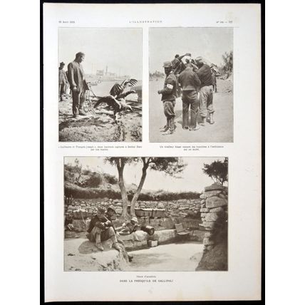 IN THE GALLIPOLI PENINSULA 1915 vultures FRANCE WORLD WAR I PRINT