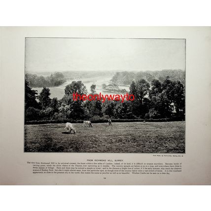 Lincoln And Thames From Richmond Hill, Surrey, Book Illustration (Print), c1897