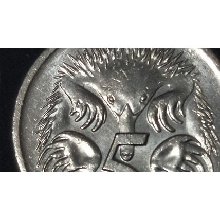 Australia 2001 5c Echidna ~ Die Chip/Cud on Front Claw - Circulated [1bb]