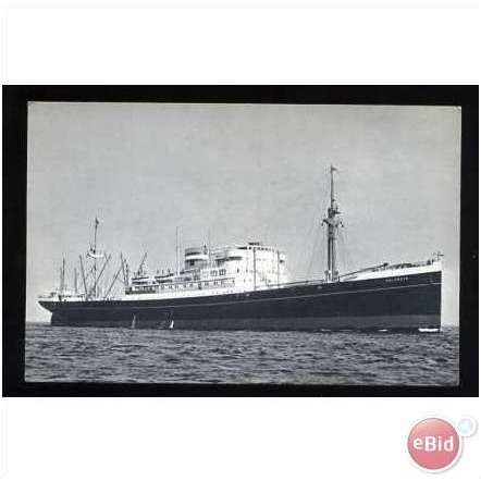 Holland-America Line MV DALERDYK Company Postcard
