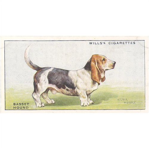 Wills Dogs Card No. 02 Basset Hound