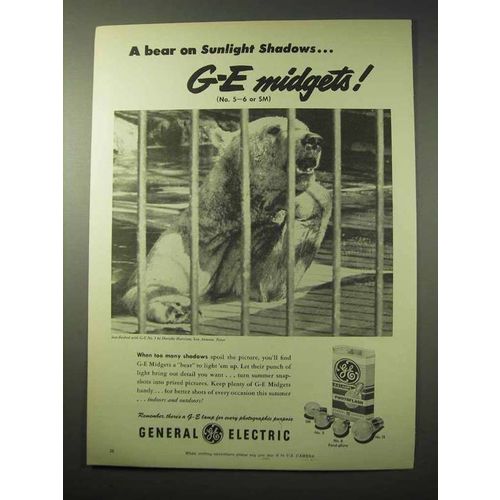 1950 General Electric Midget Flash Bulb Ad - A Bear