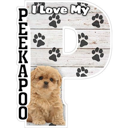 I Love My Peekapoo Fridge Magnet