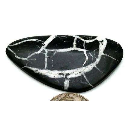 Black Septarian Freeform Gemstone Cabochon 472