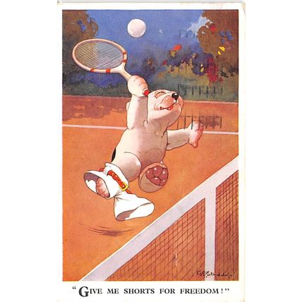 G E Studdy : "Give me shorts for freedom!" : "Bonzo" postcard 2694 pu