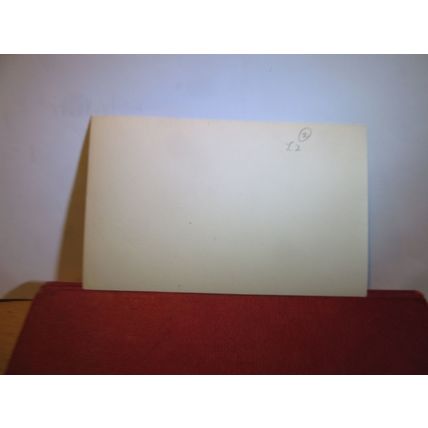 LLANDOGO PRIORY, MONMOUTHSHIRE, WALES unused postcard RP blank back =