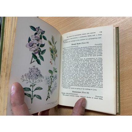 1967 THE BOOK OF FLOWERING TREES AND SHRUBS ILLUSTRATED HARDBACK BOOK (P3)
