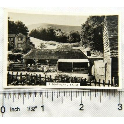 1938 Senior Service Our Countryside 32 A Downland Farm