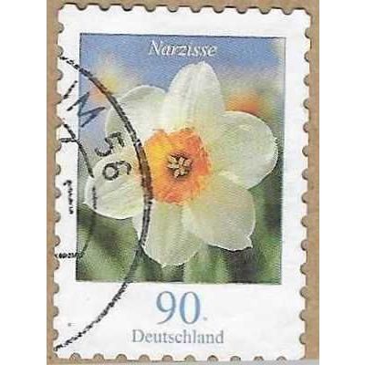 2006 Flowers - Narzisse 15745