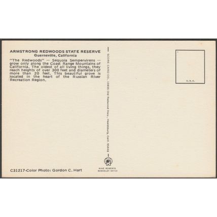 Armstrong Redwoods State Reserve, Guerneville CA, c.1960s - Score Card Postcard