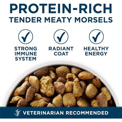 Purina ONE plus Large Breed Adult Dog Food Dry Formula - 40 Lb. Bag