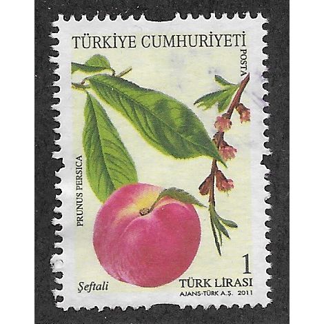 TKY 2011 1YTL 'FRUITING TREES' FINE USED (EBID53-167)