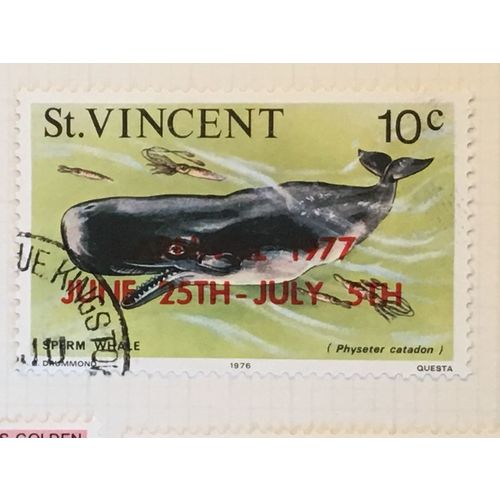 St Vincent 1977 Carnival 10c Sperm Whale Used SG 532 Sc 500 postage stamp