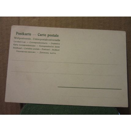 FLOWERS unused postcard Iris, flags, ?? #