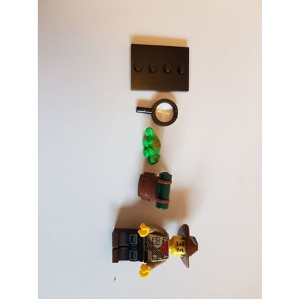 LEGO Minifigure Series 19 - Jungle Explorer