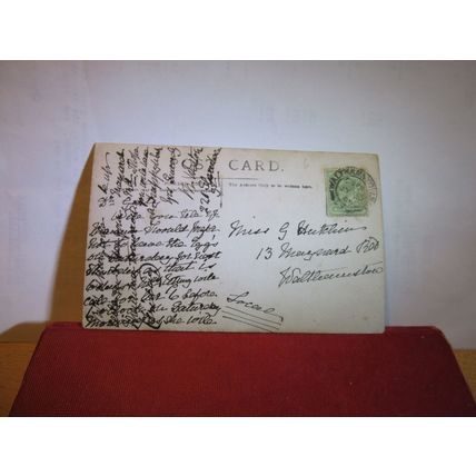 UNKNOWN FLOWER PLANT antique used postcard RP 1905 pm =
