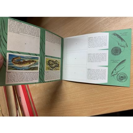VINTAGE BROOKE BOND FRESHWATER FISH ALBUM BOOK *INCOMPLETE* (P2)