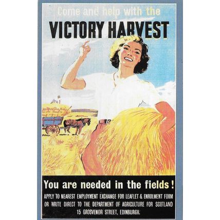 Poster Art Postcard WW2 Land Army Recruitment "Victory Harvest" - Nostalgia