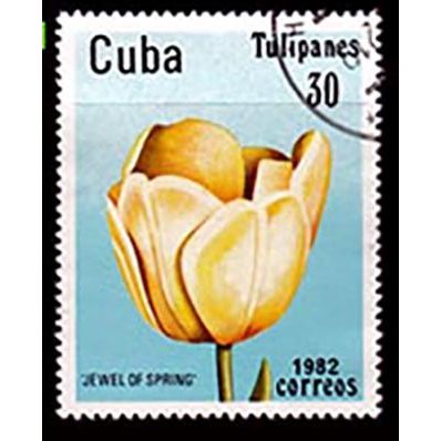 Cuba 1982 Flowers Tulip 30c Used Stamp