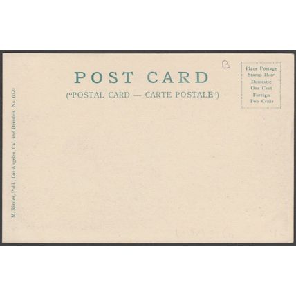 Mount Tamalpais, California, c.1905 - Rieder Postcard
