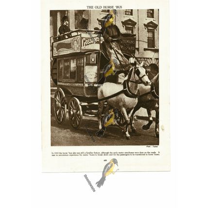 Horse Buses More Reliable Than Motorised, 1910, Book Illustration (Print), 1935