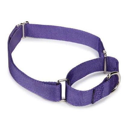 Guardian Gear Nylon Martingale Dog Collars 18-26 in Ultra Violet