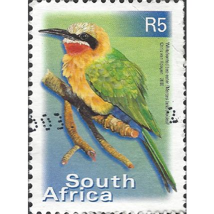 SOUTH AFRICA, BIRDS, Whitefronted Bee-Eater, blue 2000, R5, #4