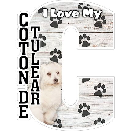 I Love My Coton De Tulear Fridge Magnet