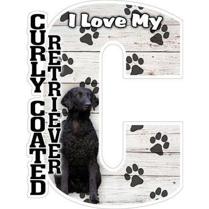 I Love My Curly Coated Retriever Fridge Magnet