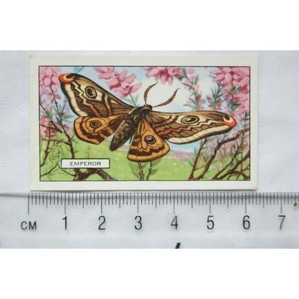 1938 Gallaher's Butterflies & Moths No. 30 Emperor