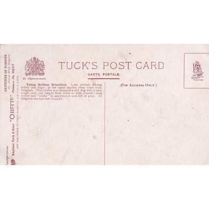 Tucks Postcard Maude West Watson Young Griffons Bruxellios